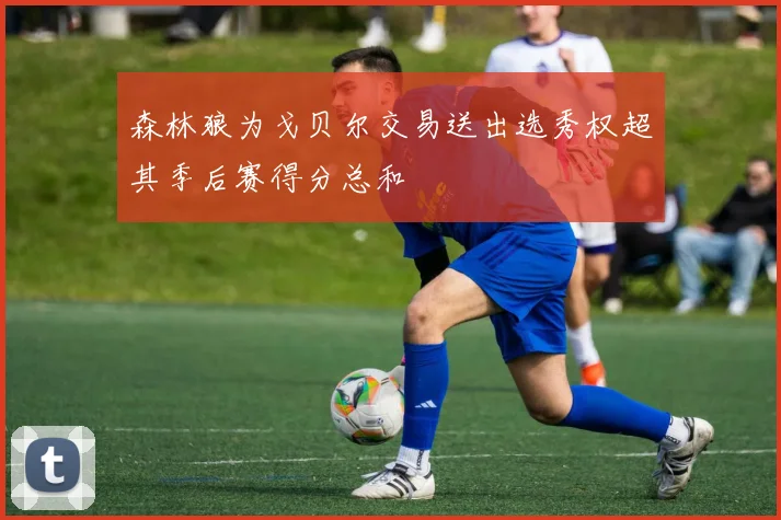 森林狼为戈贝尔交易送出选秀权超其季后赛得分总和