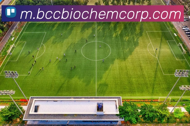 奖项3